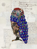 Screech Owl 12 Archival Print