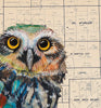 Screech Owl 1 Archival Print