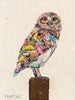 Screech Owl 3 Archival Print