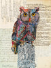 Screech Owl 5 Archival Print