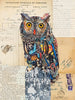 Screech Owl 6 Archival Print