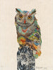 Screech Owl 7 Archival Print