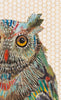 Screech Owl 7 Archival Print