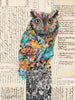 Screech Owl 8 Archival Print