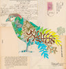 Sparrow Hawk 11 Archival Print