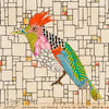 Sparrow Hawk 44 Archival Print