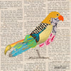 Sparrow Hawk 51 Archival Print