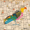 Sparrow Hawk 53 Archival Print