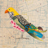 Sparrow Hawk 54 Archival Print