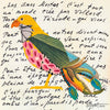 Sparrow Hawk 56 Archival Print