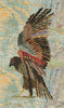 Standing Hawk 1 Archival Print