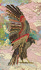 Standing Hawk 2 Archival Print