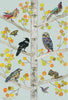Trees of Life 13 Archival Print