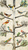 Trees of Life 1 Archival Print