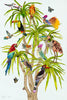 Tropical Trees of Life Archival Print