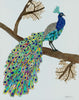 Peacock "Villem" Archival Print