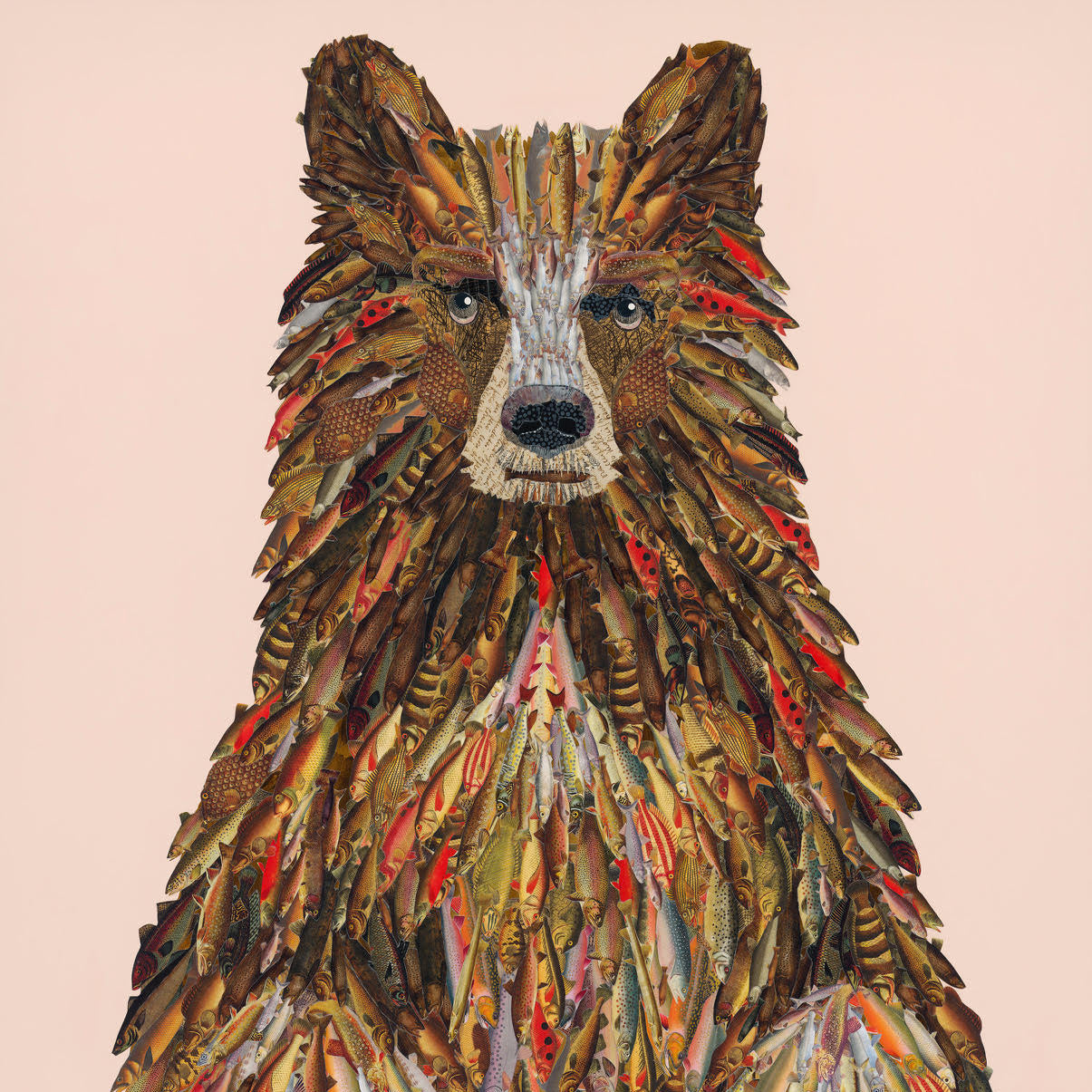 Acrylic Framed Harrington Bear