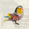 Wood Duck 1 Archival Print