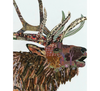 Xander Archival Print