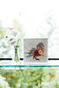 Acrylic Framed Wood Duck 2