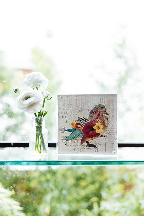 Acrylic Framed Wood Duck 2