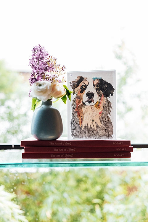 Acrylic Framed Australian Shepard Dog Print