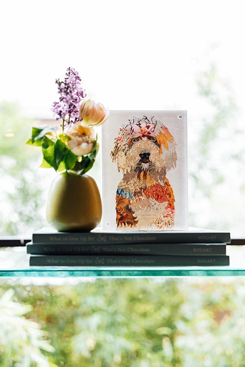 Acrylic Framed Golden Doodle Dog Print
