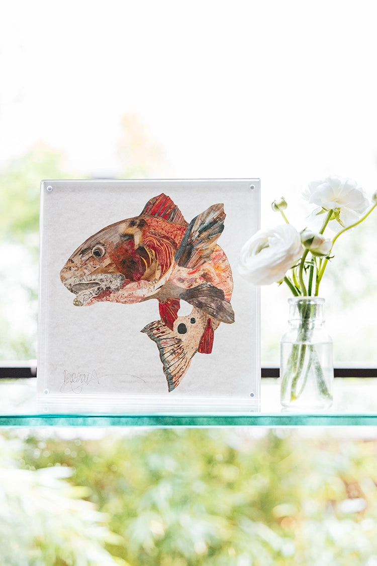 Acrylic Framed Red Fish