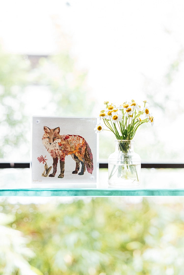 Acrylic Framed Charlotte Fox Print