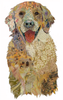 Golden Retriever Jonah (inspired by the biblical prophet Jonah) Archival Print