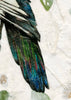 Magpie Archival Print
