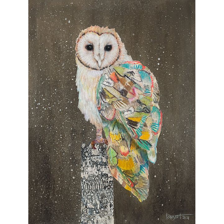 Load image into Gallery viewer, Acrylic Framed Barn Owl Snowy Night 2 Print
