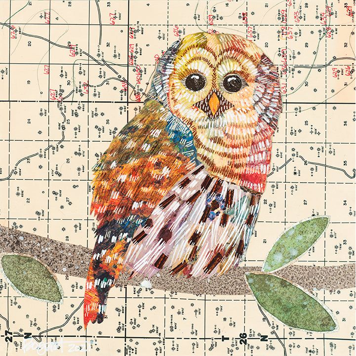 Acrylic Framed Barred Owl 1 Print