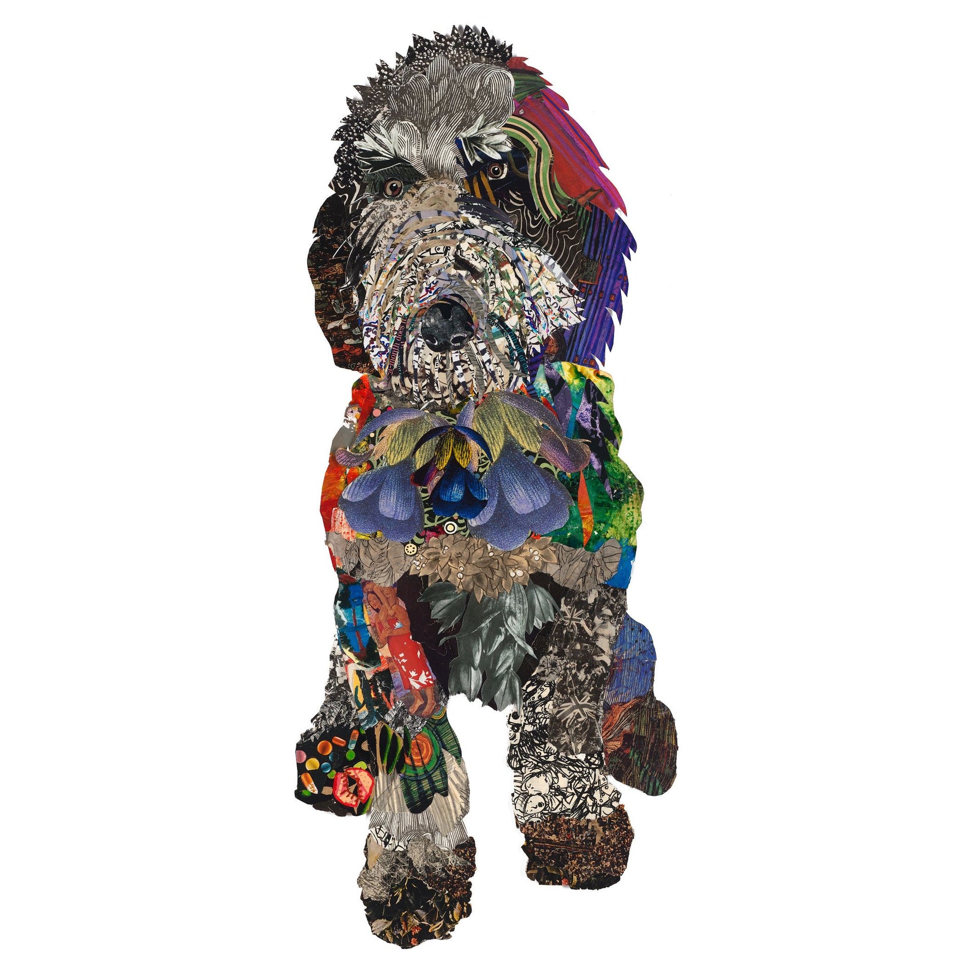 Acrylic Framed Black Doodle Dog Print