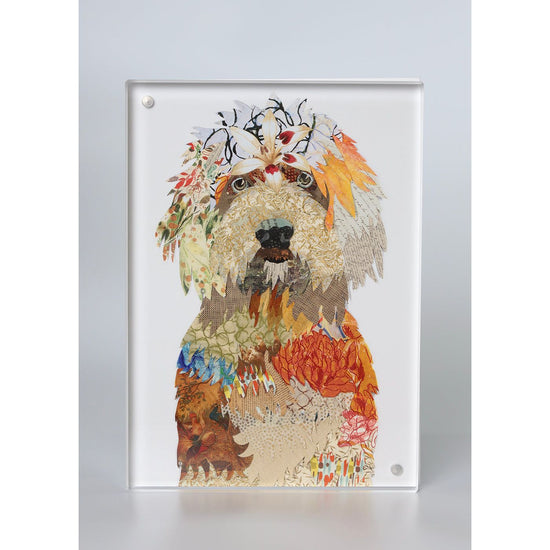 Acrylic Framed Golden Doodle Dog Print