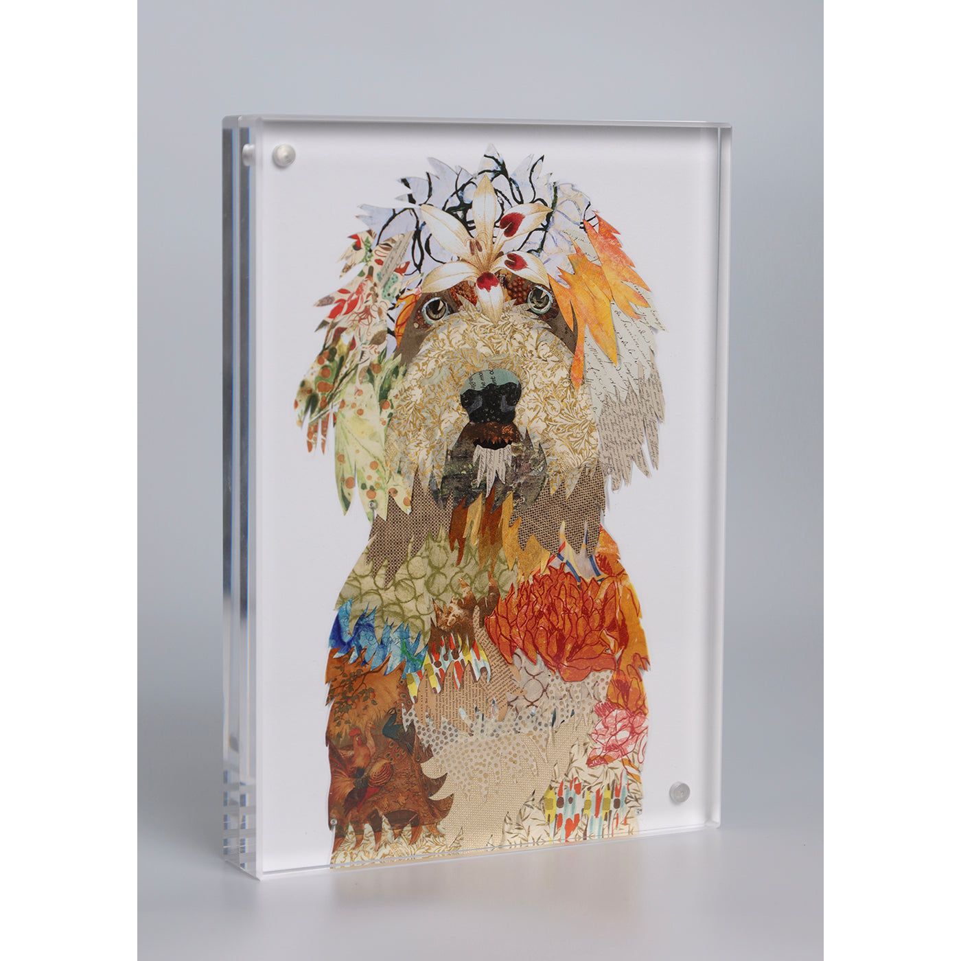Acrylic Framed Golden Doodle Dog Print