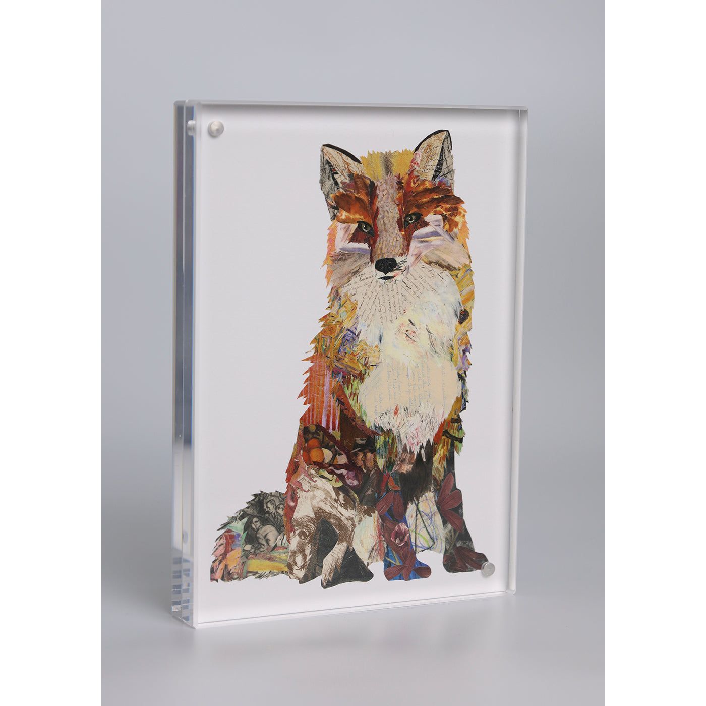 Load image into Gallery viewer, Acrylic Framed Fox 2 Print

