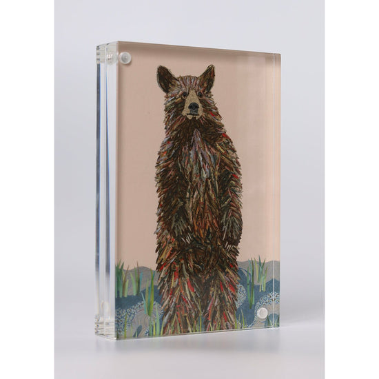 Acrylic Framed Big Bear Pink Print