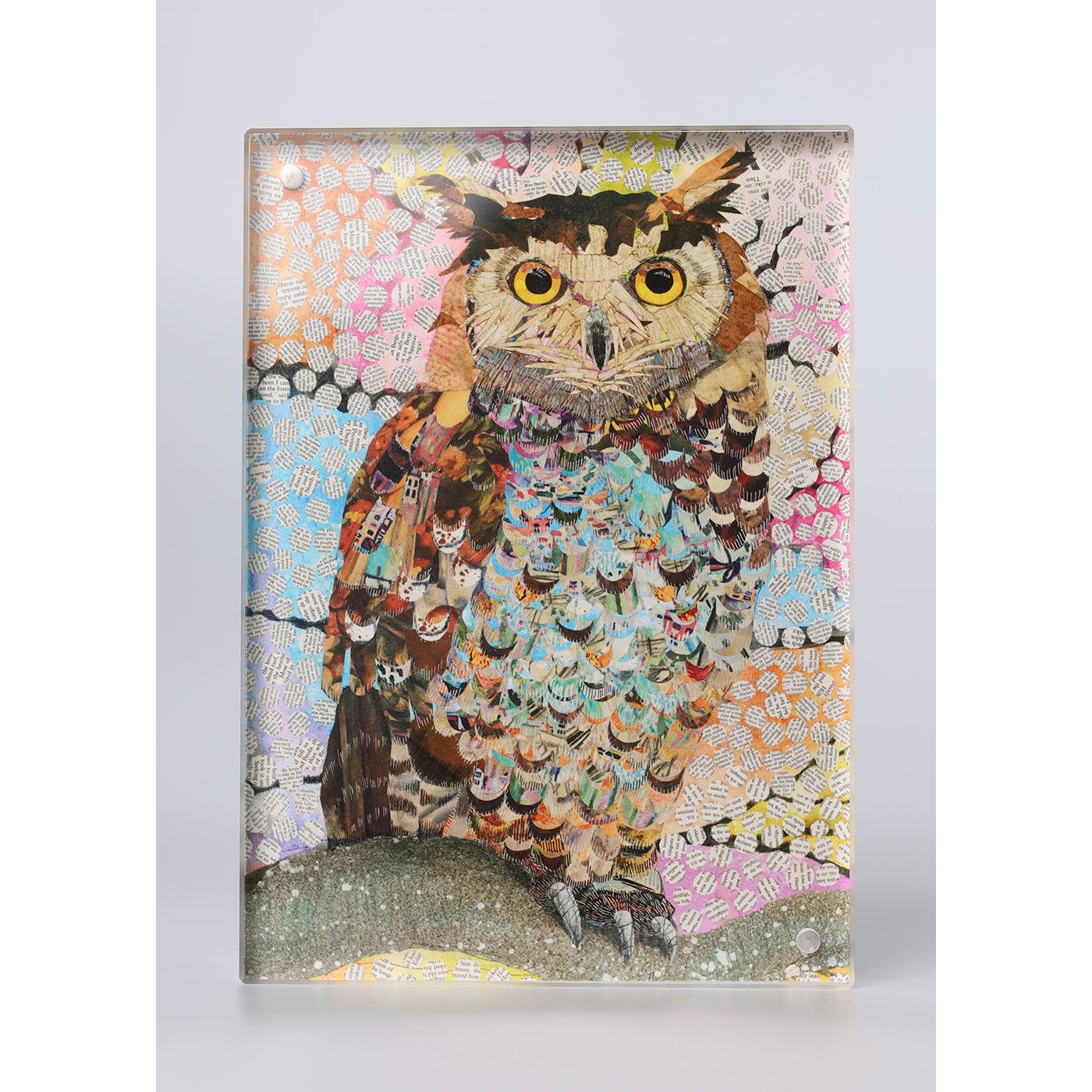Acrylic Framed Eagle Owl Print