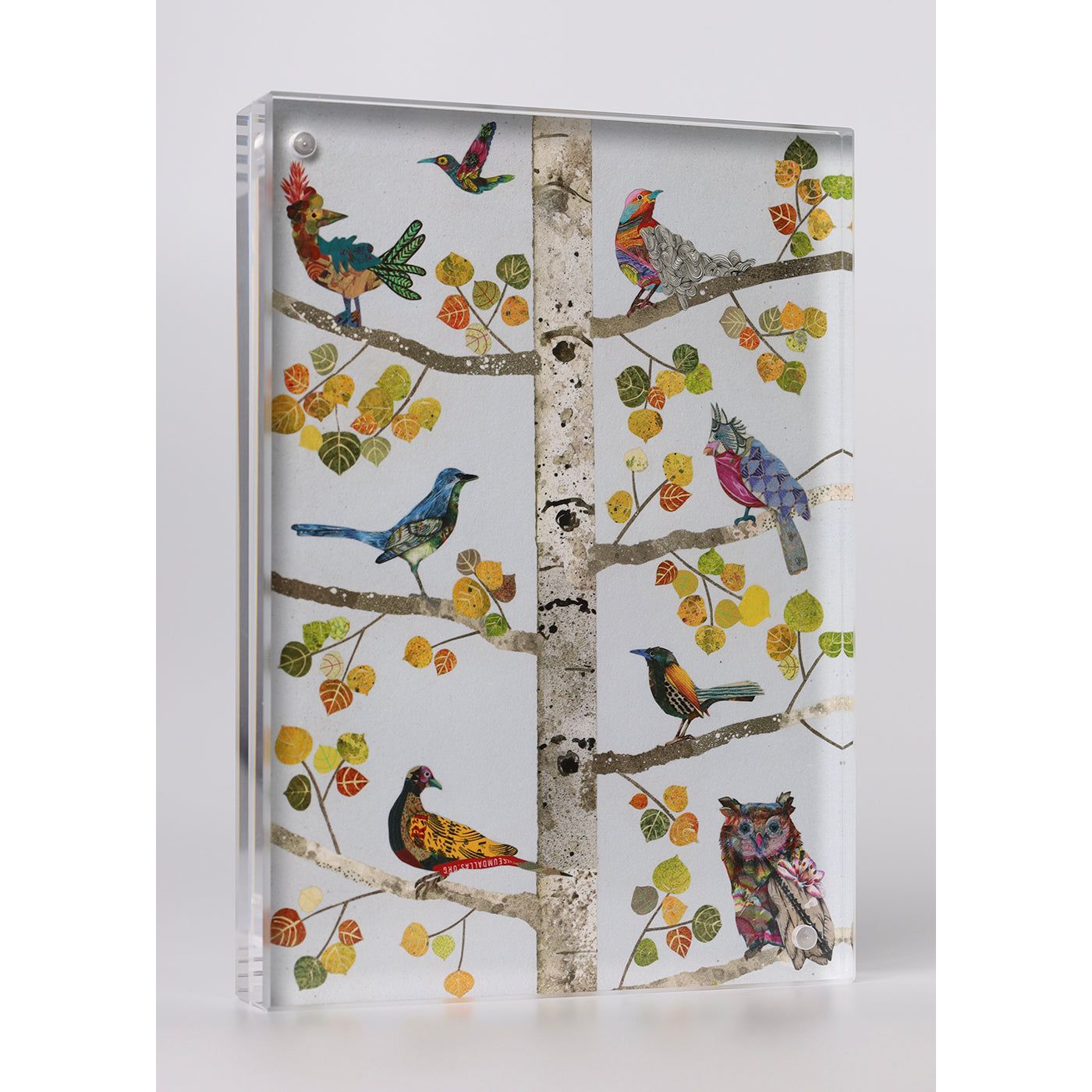 Acrylic Framed Aspen Bird Tree of Life 9 Print