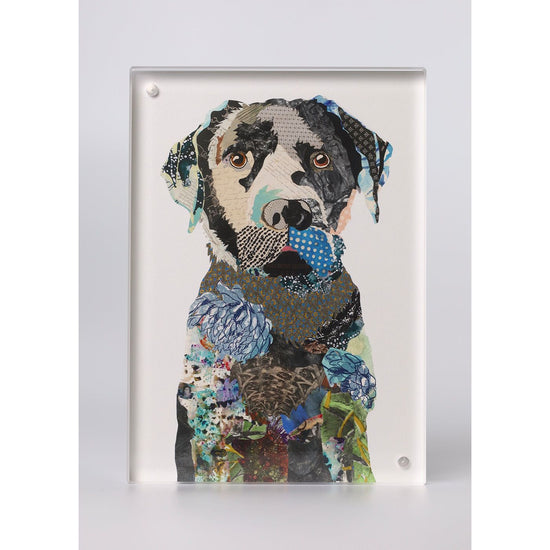 Acrylic Framed Black Lab 1 Dog Print