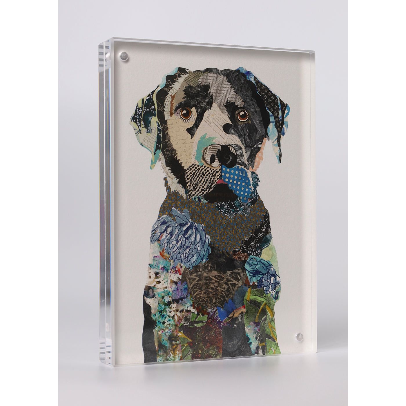 Acrylic Framed Black Lab 1 Dog Print