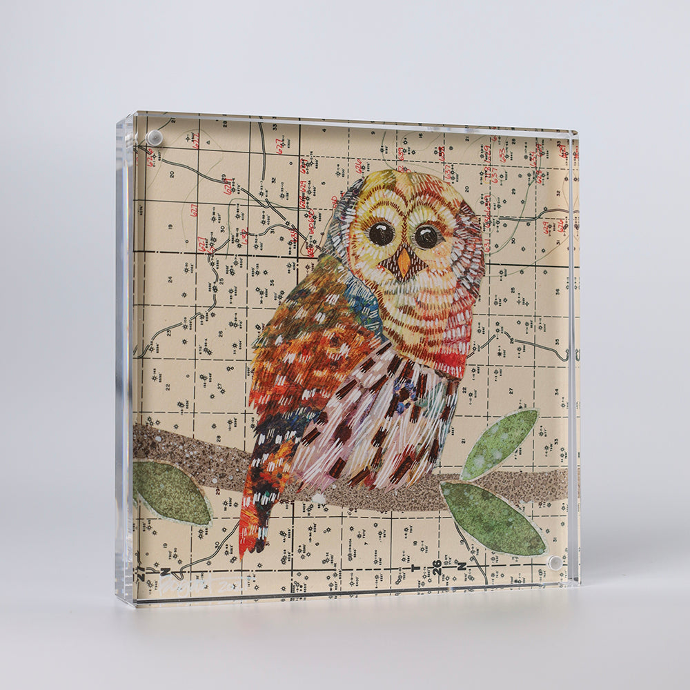 Load image into Gallery viewer, Acrylic Framed Barred Owl 1 Print
