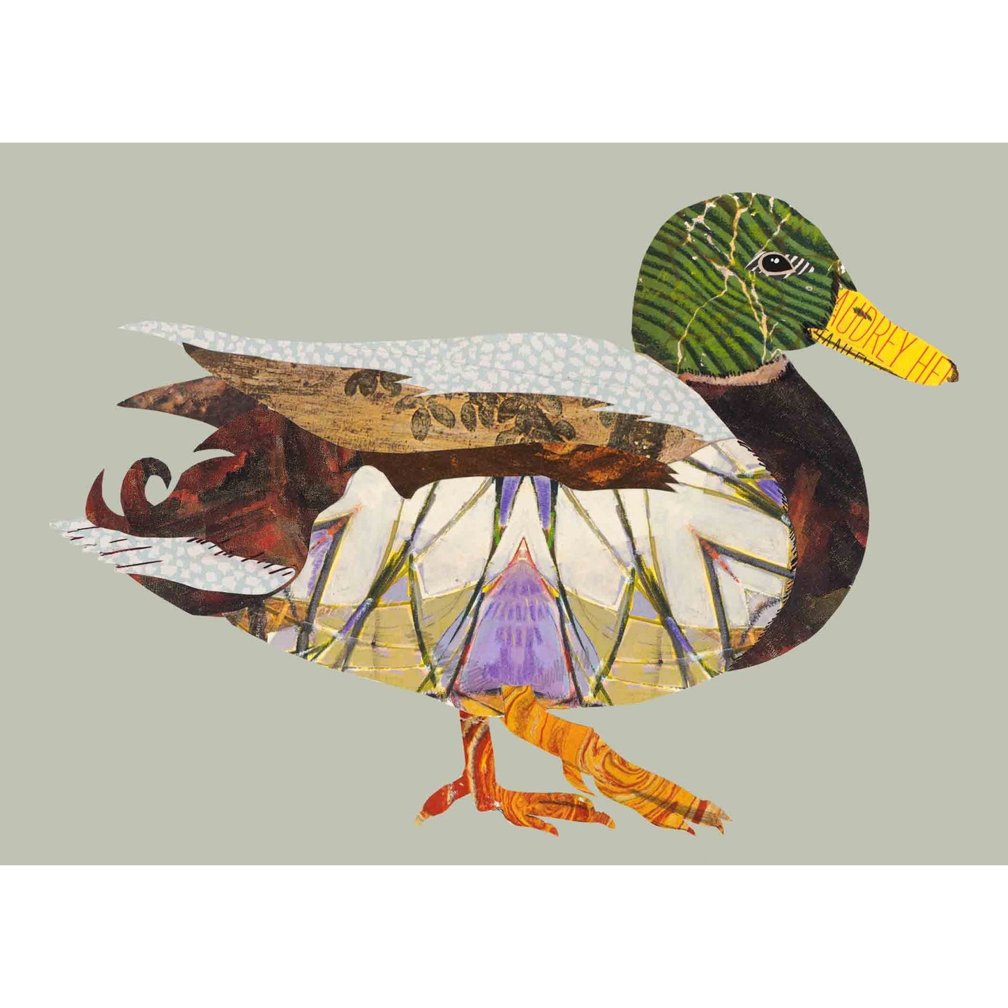 Acrylic Framed Mallard Duck Print