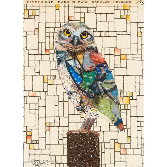 Acrylic Framed Screech Owl Print