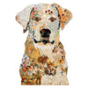 Acrylic Framed White Lab II Dog Print