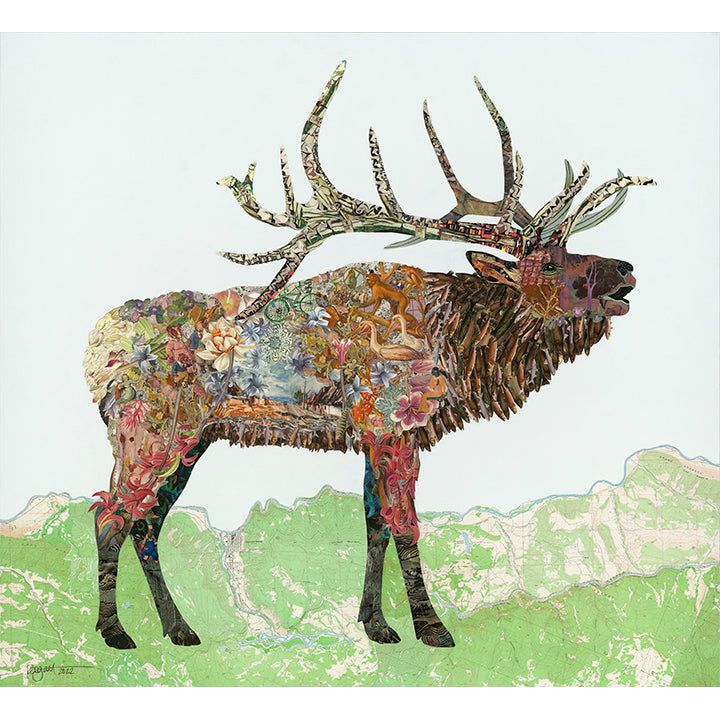 Acrylic Framed Elk Xander Print